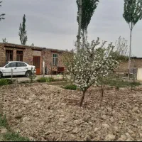 اجاره دامداری ،در نوشین شهر|اجارهٔ دفتر صنعتی، کشاورزی، تجاری|نوشین شهر, |دیوار