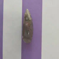 سنگهای عقیق و شجر برای پلاک|جواهرات|فولادشهر, مسکن مهر فولادشهر|دیوار