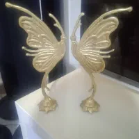 دوعدد پروانه برنج
