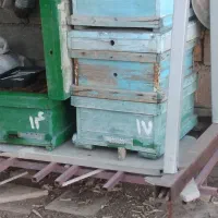 جعبه کندو|لوازم جانبی حیوانات|آبدانان, |دیوار