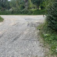 زمین ۳۵۰ متری بافت زرد همراه پروانه ساخت|فروش زمین و ملک کلنگی|شیرود, |دیوار