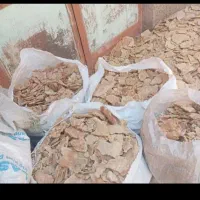 نون خشک