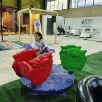 فروش الاکلنگ کد۱ چرخ فلک کد۱ چرخونک صخره نوردی|اسباب‌‌بازی|ارژن, |دیوار