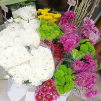 گل و گیاه طبیعی