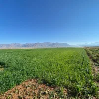 احداث چاه زمین کشاورزی
