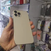 ۱۲ پرو مکس