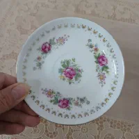 ۲دست نلبکی|ظروف سرو و پذیرایی|اصفهان, عسگریه|دیوار