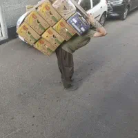 جوانرود بار و اسباب کشی