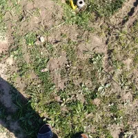 فروش-زمین-مسکونی-بومهن