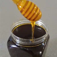 عسل کوهی وحشی درمانی طبیعی ارگانیک