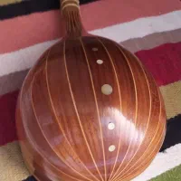 سه تار دزدیده شده