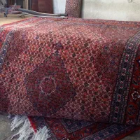 فروش وپرداخت انواع فرش دست بافت