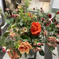 گل رز|گل مصنوعی|رشت, حمیدیان|دیوار