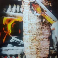 صندوقدار خانم و آقا با تجربه فست فود