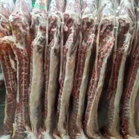 فروش گوسفند زنده مرغوب و چاق|حیوانات مزرعه|قم, بلوار امین و ساحلی|دیوار