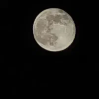 آنر400پرو گلوبال|موبایل|تهران, جی|دیوار