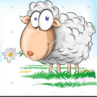 ۱راس گوسفند پیدا شده