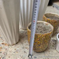 گلدان|گل و گیاه طبیعی|شادگان, |دیوار