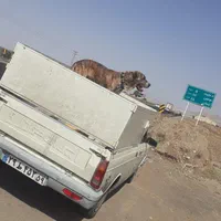 پیکان بار (وانت بار) داخل و خارج استان و تو شهری|خدمات حمل و نقل|گرگان, |دیوار