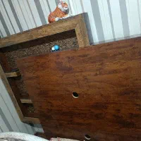 دکوراسیون تی وی