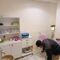 شرکت سمپاشی سوسک ساس موش سم پاشی باضمانت کتبی|خدمات نظافت|تهران, پاسداران|دیوار