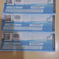 بلیط استخر شین فقط ۱۰۰