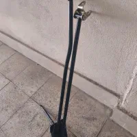 لیور دنده کویک، تیبا، ساینا