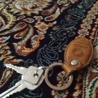 دسته کلید گم کردم