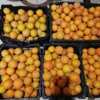 62کیلویافا12کیلوپرتقال