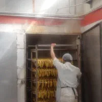 نیروی کار فنی و ساده