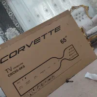 کارتن تلویزیون ۶۵ اینچ