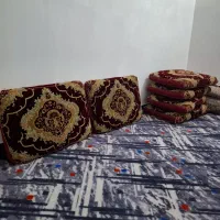 6عددپشتی