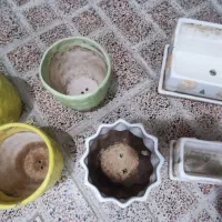 چند مدل گلدان سفالی|گل و گیاه طبیعی|ری, شهرک نظامی|دیوار