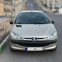 ۲۰۶ فرانسه خانگی