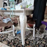 میز ناهار خوری کاملا سالم قیمت مناسب|میز و صندلی غذاخوری|آمل, |دیوار