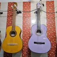 گیتار وفایی mv2