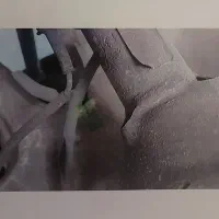 پراید ۹۹|خودرو سواری و وانت|تهران, پاسداران|دیوار