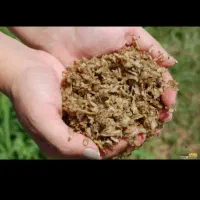 فروش تفاله تر