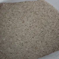 ۲۰ کیلو برنج طارم هاشمی اصل|خوردنی و آشامیدنی|قائم‌شهر, |دیوار