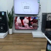تلویزیون