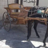 کالسکه فروشی