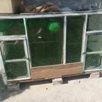 یک عددقفس بزرگ پرنده بامحتویات داخلش به فروش میرسد