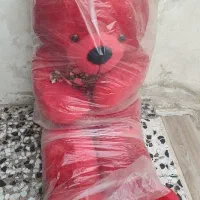 شاسخین (عروسک خرسی)