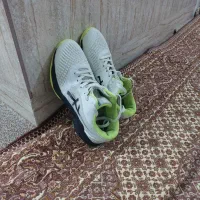 کفش والیبال|کیف، کفش، کمربند|گمیشان, |دیوار