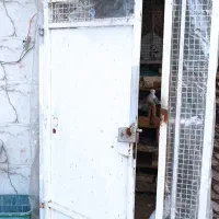 قفس بزرگ|لوازم جانبی حیوانات|خرمشهر, |دیوار