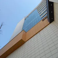 کاردرارتفاع باطناب بدون داربست (حسن زاده)