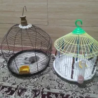 طغری  قفس
