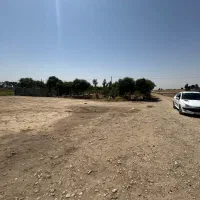 زمین ۱۰۰۰ متری داوودآباد/ مناسب باغ و گلخونه|فروش زمین و ملک کلنگی|قرچک, داوود آباد|دیوار