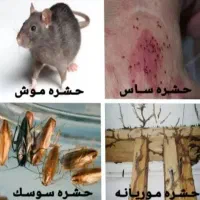 سمپاشی مارعقرب سوسک ساس موش موریانه مورچه پشه،وغیر
