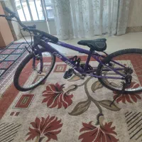 دوچرخه ساده 24.دندنه ای نیست|دوچرخه، اسکیت، اسکوتر|نهاوند, |دیوار